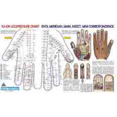 Sujok Acupressure Byol Meridian Chart