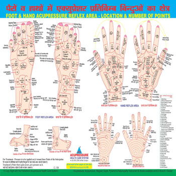 Byol Meridian Chart In Sujok Therapy